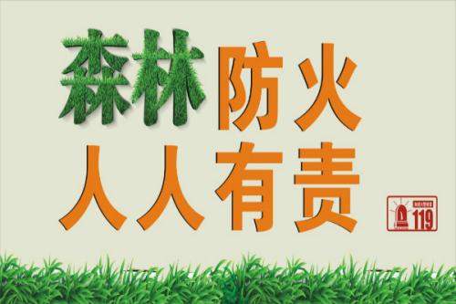 关于森林的环境口号