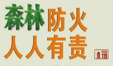 关于森林的环保标语