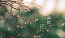 寒露的节气谚语