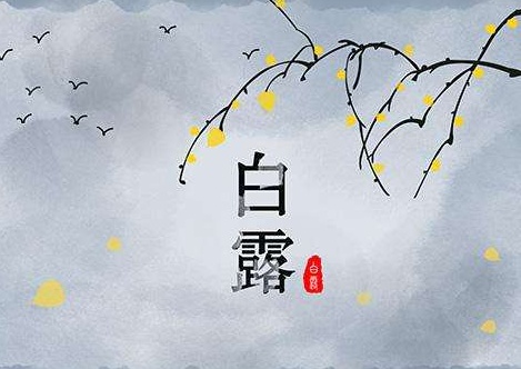 谚语