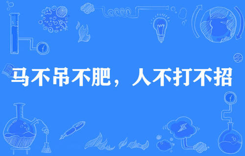 关于马的谚语