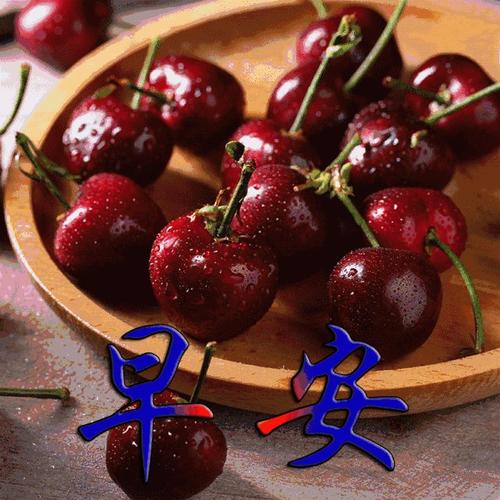 祝2019年最后一天