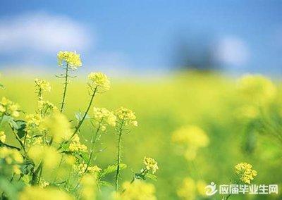 关于热的谚语