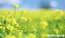 关于处暑的谚语