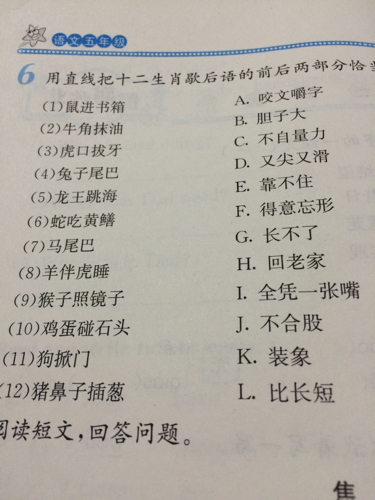 寓言兔尾