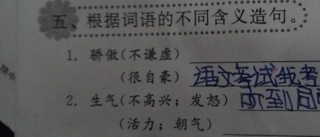 用一句话感到骄傲
