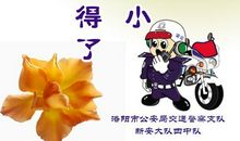 理发店口号大全霸气