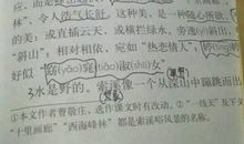 拟人句的好段