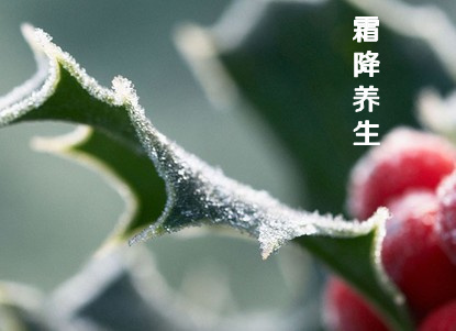 关于霜降的箴言