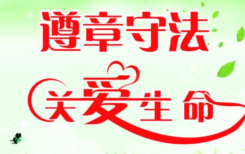 交通安全管理口号