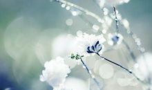 描写空气清新的段落