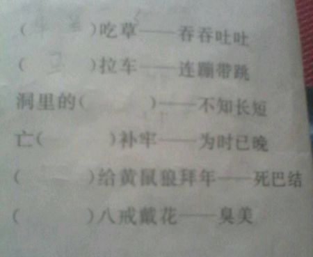 兔子的寓言