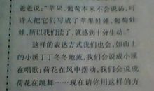 很长的拟人句