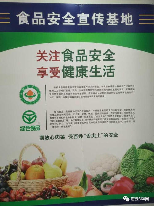 小学食品安全口号