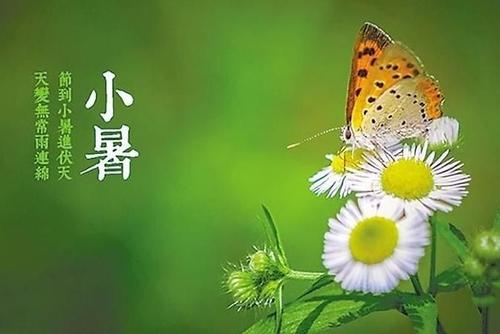 关于小叔的谚语