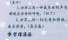 关于母爱的好句好段