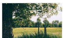 形容美好日子的句子