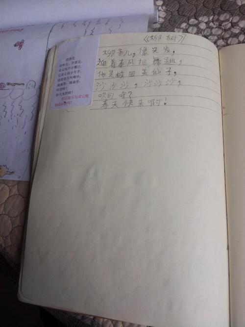 用柳条写隐喻