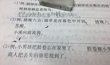 二十多字拟人句