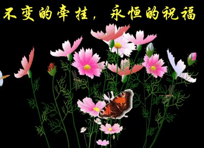 秋天的问候文本