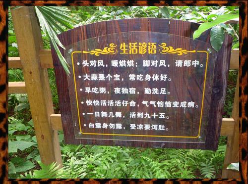 过敏的生活话语