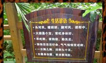 生活的歇后语