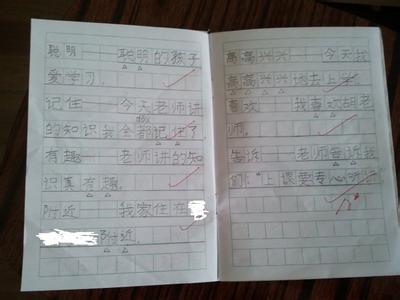 种子中的种子