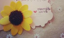 闺蜜新年祝福语2019