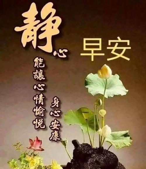 夏雨祝福