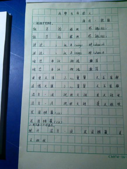 装饰性的