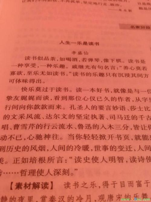 写一个夏天的隐喻