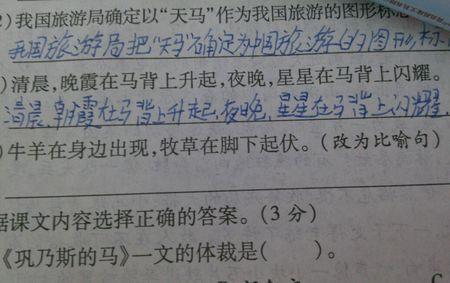 初中生比喻句
