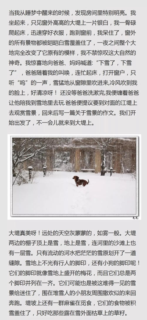 描述雪的一段