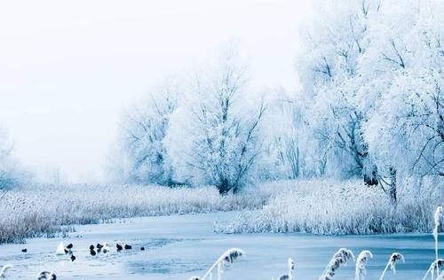 农历新年雪