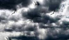 有关闪电的比喻句