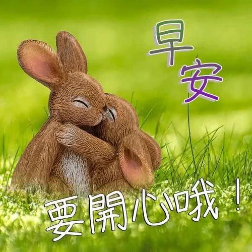 最美丽的祝福