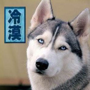 谢厚玉和狗
