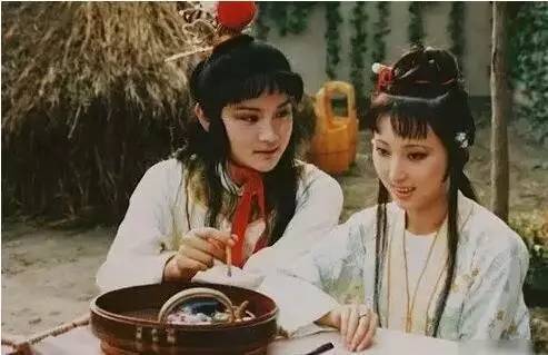 贾宝玉的女仆寓言