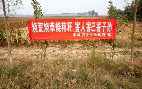 稻草口号