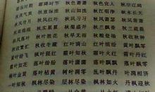 描写年轻的成语