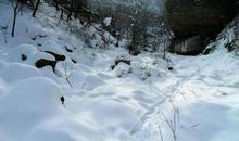 有关霜降的农业谚语