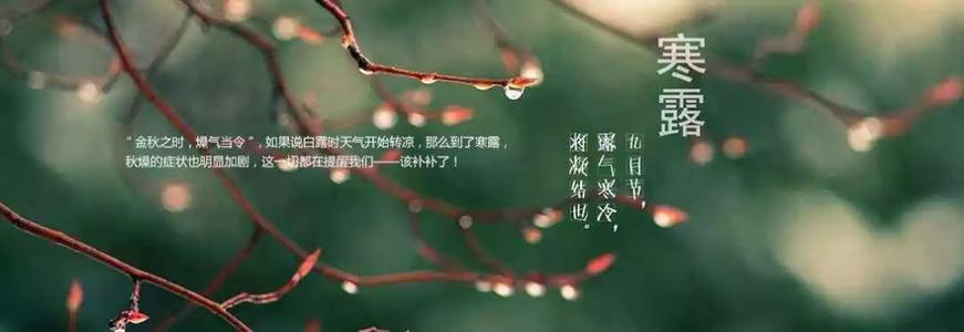 汉露节谚语