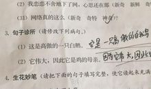 200字的拟人句