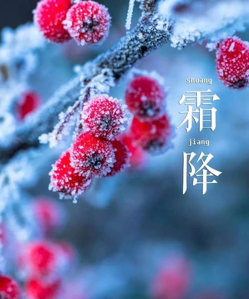 关于霜冻和节气的谚语