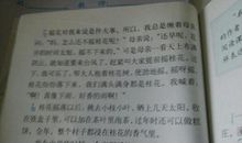 100字的拟人句