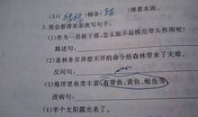 20字拟人句30句