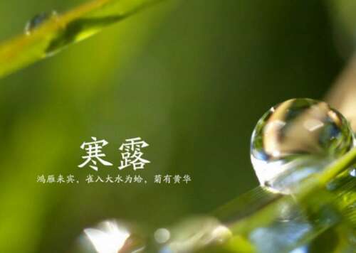 韩露的谚语
