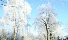 描写冬天雪景的诗句