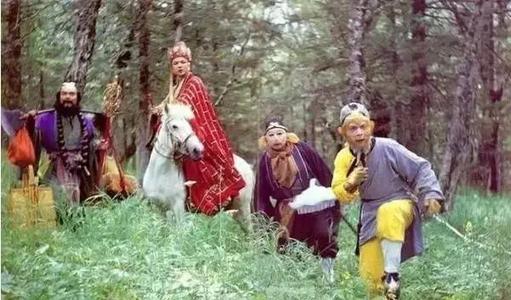 埋在土壤中