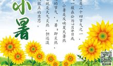 有关节气的谚语